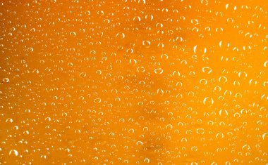 bira cam ve su damla duvar kağıdı doku