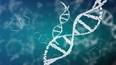 DNA çift sarmal animasyonunun yapısı