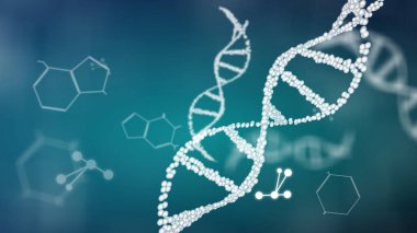 DNA çift sarmal animasyonunun yapısı