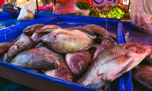 sell fresh fish at fresh market,raw,closeup