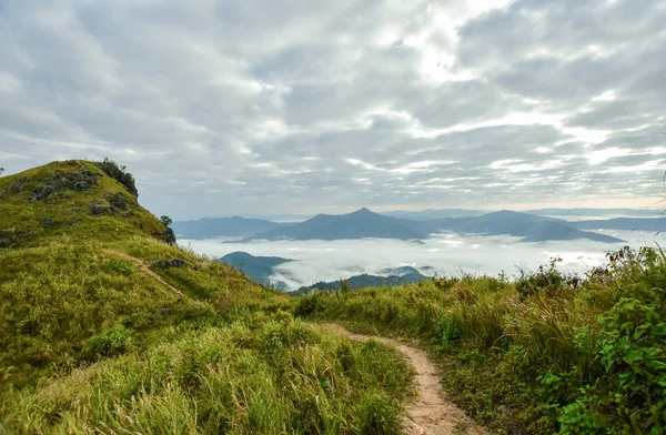 A grass path to the mountains,Path to the mountain, cloudy sky,North Thailand