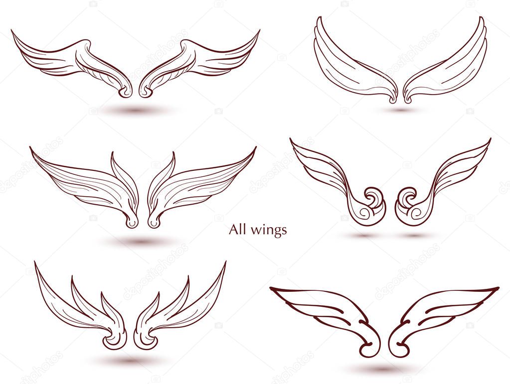 Hand drawn wings set. Vector doodle winged for decorate