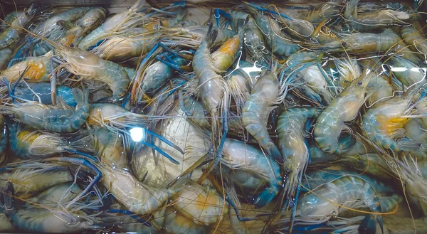 Udang segar. Udang segar di pasar, udang segar latar belakang dan close-up — Stok Foto