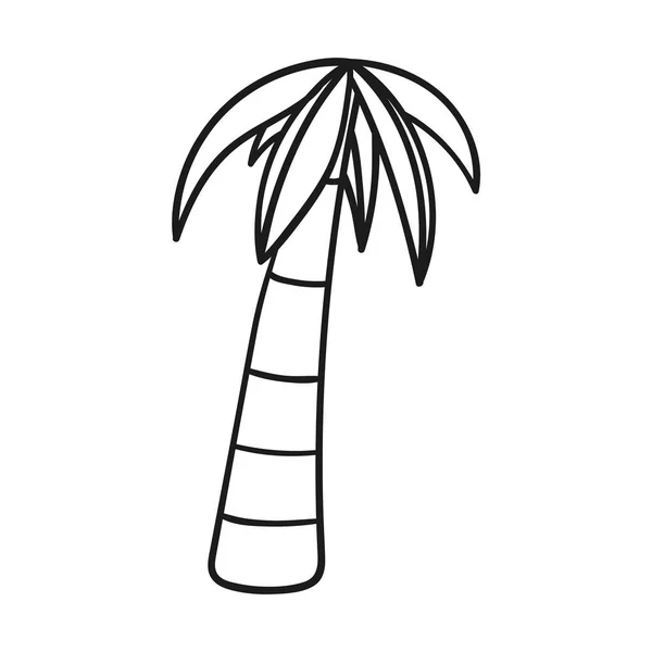 Drawn outlined icon of a palm tree — Stock Vector