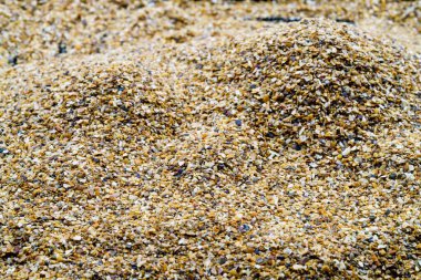 Arkaplan olarak deniz kumu, metin için boşluk.