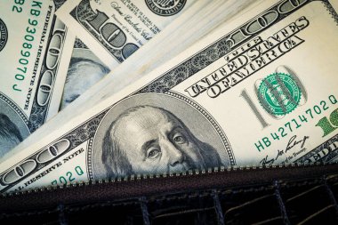 Timsah derisinden bir çantaya 100 dolarlık banknotlar. Amerikan para birimini kapatın. Amerikan doları geçmişi. yüksek çözünürlük.