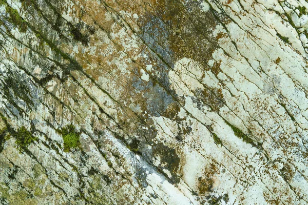 有苔藓的石质背景。近景图像 — 图库照片