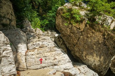 Kırmızı boyanmış ok ormandaki taşın üzerinde yolu gösteriyor.
