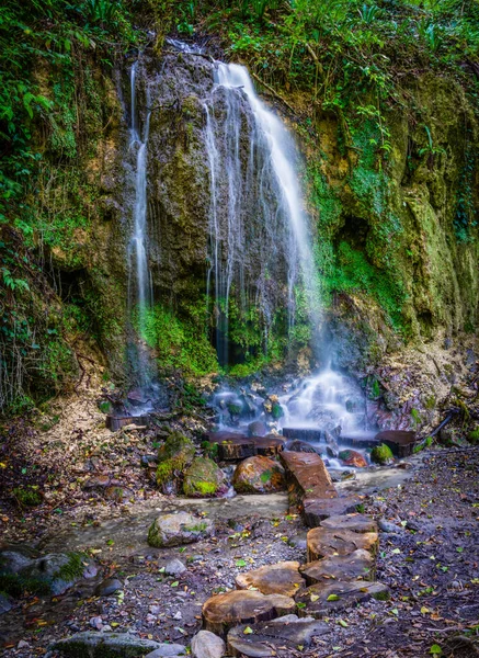 Kleiner Wasserfall im grünen Wald. Sauberes Wasser — Stockfoto