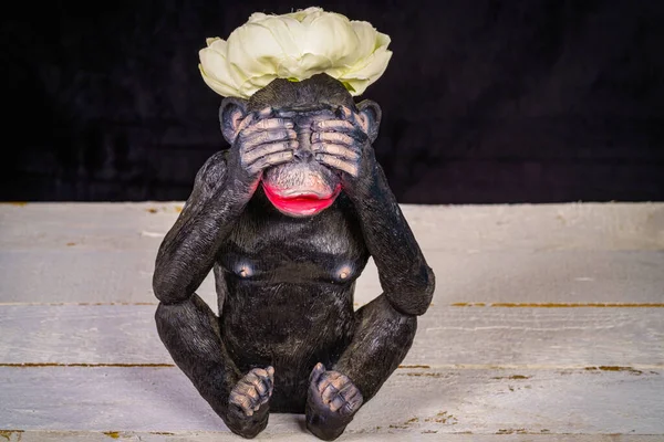 Polystonová pryskyřičná socha opice. Uzavřít koncept, který nevidím Stock Obrázky