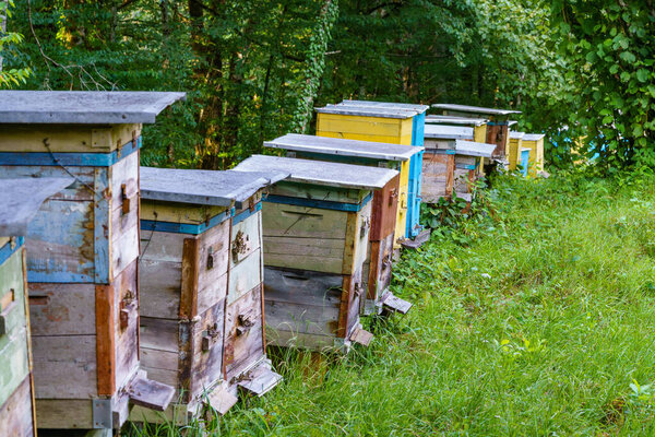 Крупный план деревянных ульев в сельском саду.