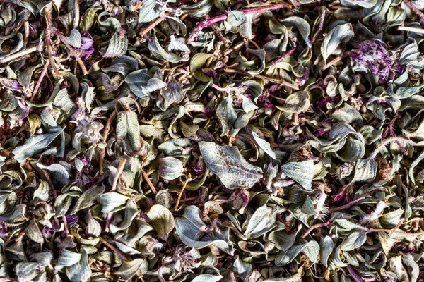 Heap of dried natural basil aromatic herbs. Macro — Stock Photo, Image