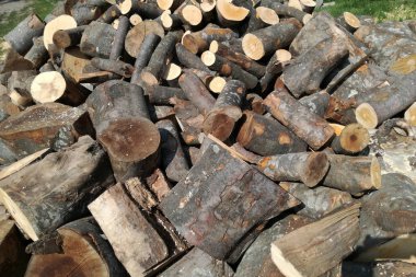 Kış için hazır yakacak odun yığını