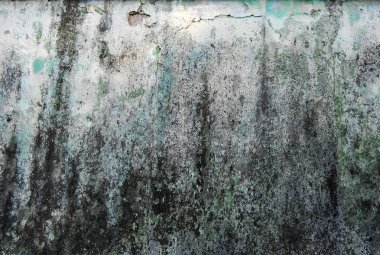 Dobrica, Banat eski evde duvarına