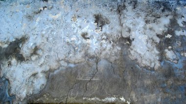 Dobrica, Banat eski evde duvarına