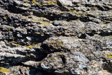 Yosun ve yosun parçalarıyla taş kayalar