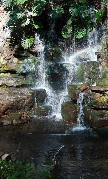 Man Made Waterfall Garden South Africa — Stock Photo, Image