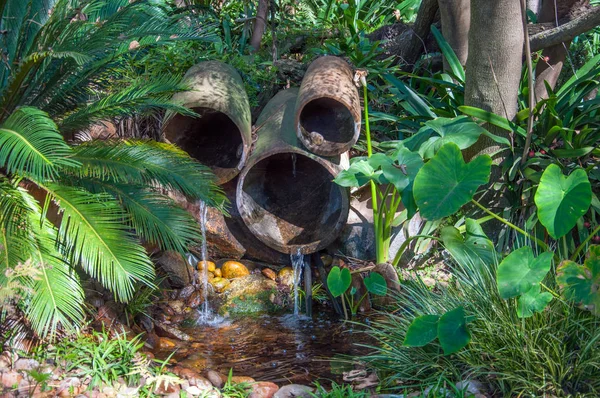 Su özelliği yemyeşil bir bahçe, Güney Afrika.