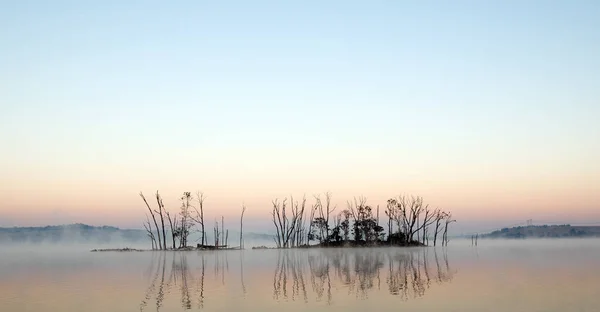 Ein Frühmorgendlicher Blick Auf Eine Insel Rietvlei Damm Südafrika — Stockfoto