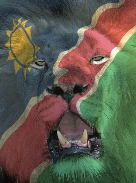 Namibia Flag Painted Face Lion — Stock Photo, Image