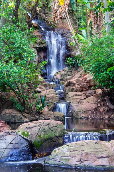 Small Waterfall Forest South Africa — Stock Photo, Image