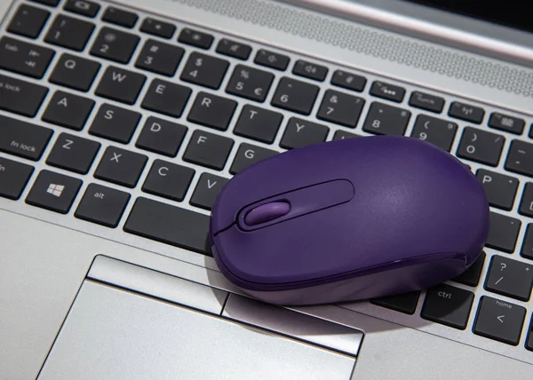 A wireless purple mouse on the keyboard of a laptop PC.