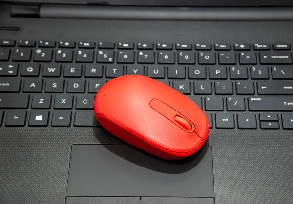 A red wireless mouse on the keyboard of a laptop PC.