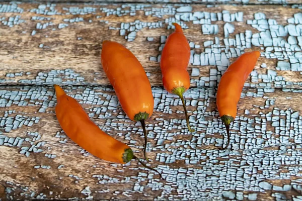 View of Peruvian yellow hot pepper