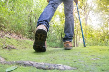 Erkek turistler yürüyüş orman, doğal yollar, tatil aktiviteleri.