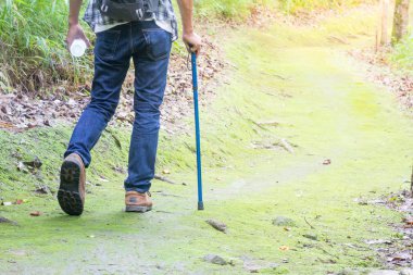 Erkek turistler yürüyüş orman, doğal yollar, tatil aktiviteleri.
