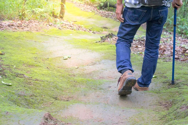 Tatil aktiviteleri bir ormanda yürüyüş erkek.