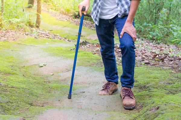 Erkek turistler yürüyüş orman, doğal yollar, tatil aktiviteleri.