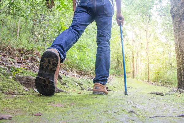 Tatil aktiviteleri bir ormanda yürüyüş erkek.