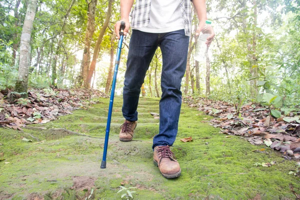 Erkek turistler yürüyüş orman, doğal yollar, tatil aktiviteleri.