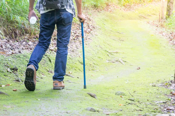 Erkek turistler yürüyüş orman, doğal yollar, tatil aktiviteleri.