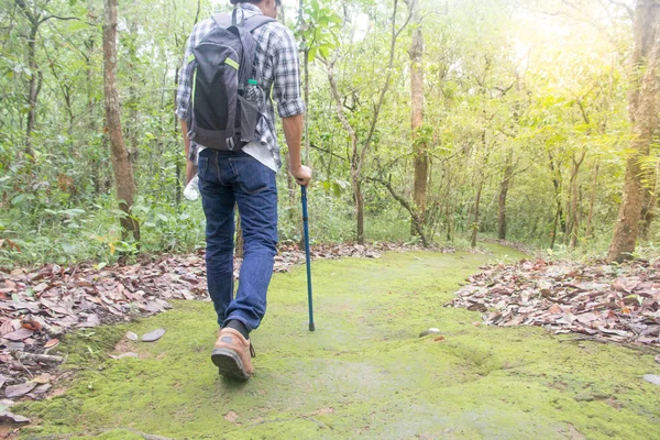 Männliche Spaziergänge Wald Urlaubsaktivitäten — Stockfoto