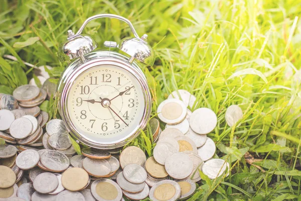 Coin Alarm Clock Placed Green Grass Money Financial Business Growth — Stock Photo, Image