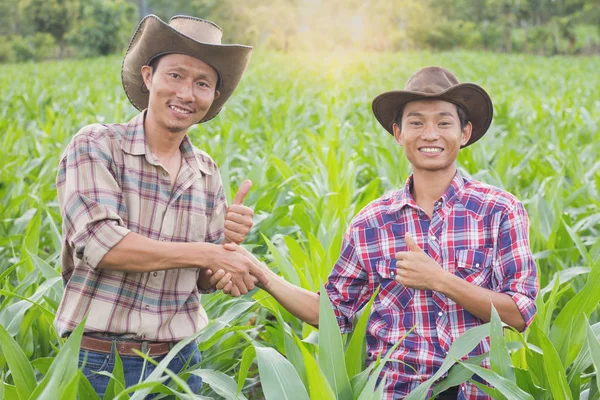 Dvě Farmář Stojící Potřesení Rukou Farmě Kukuřice Koncept Zemědělských Cooperatio — Stock fotografie