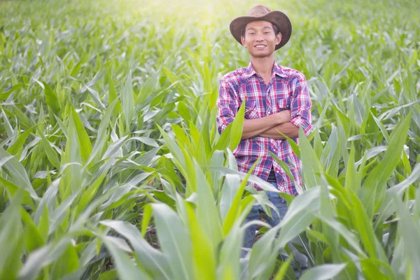 Farmář Stojící Kukuřičném Poli Při Západu Slunce Sledování Jeho Plodiny — Stock fotografie