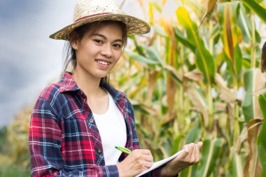 Gülümseyen ve büyüme Mısır Mısır alanları kayıt Genç çiftçi standı. Tarım kavramı