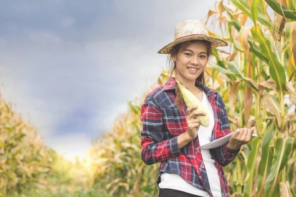 Krásný Mladý Farmář Drží Kontrolu Výnos Kukuřice Koncepce Pro — Stock fotografie