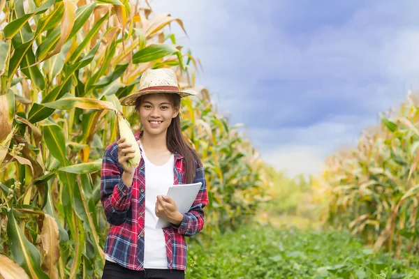 一个美丽的年轻农夫站着拿着玉米 开心地笑着 — 图库照片