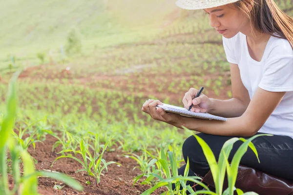 Kadın araştırmacılar incelenmesi ve Mısır tohumu alanında notlar almak.