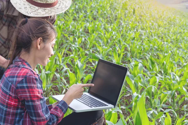 两个年轻的农民正在研究玉米植株并在笔记本电脑上记录它们 — 图库照片