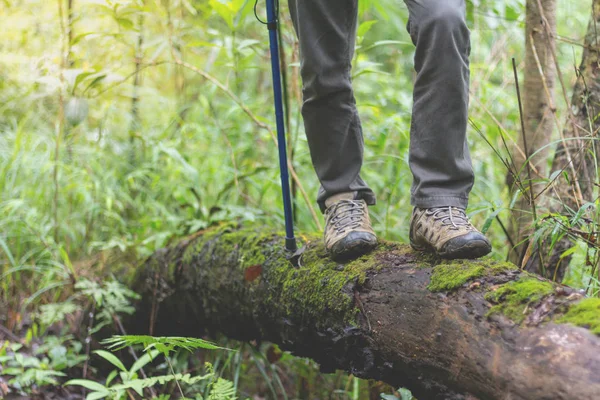 Shoes Man walking on a forest path  and lifestyle hiking. concept Travel hiking.