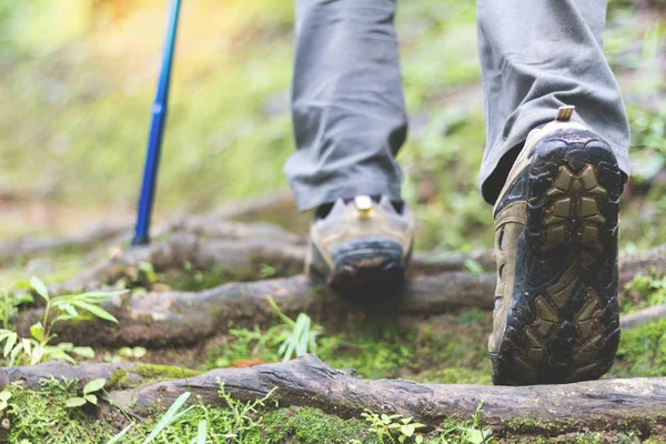 Schoenen Man Lopen Een Bospad Levensstijl Wandelen Concept Reizen Wandelen — Stockfoto