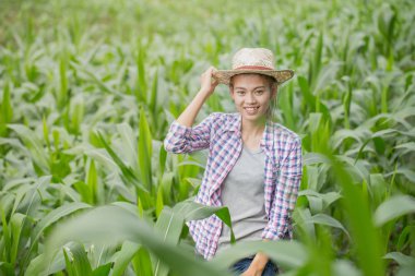 Genç ve güzel bir çiftçi mutlu Mısır bahçede gülümsüyor.