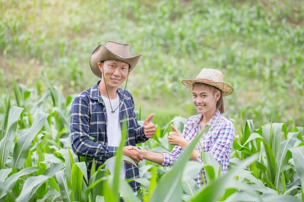 Dvě Farmář Stojící Potřesení Rukou Farmě Kukuřice Koncept Zemědělských Cooperatio — Stock fotografie