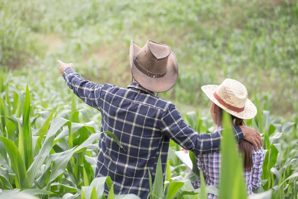 Farmer His Wife Standing Cornfield Happily — Stock Photo, Image