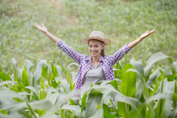 Young Farmer Happy Put Hands Corn Field Concept Success — Stock Photo, Image